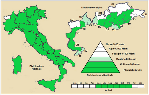 Fluellin: Kickxia_elatine_-_Distribuzione sul territorio italiano