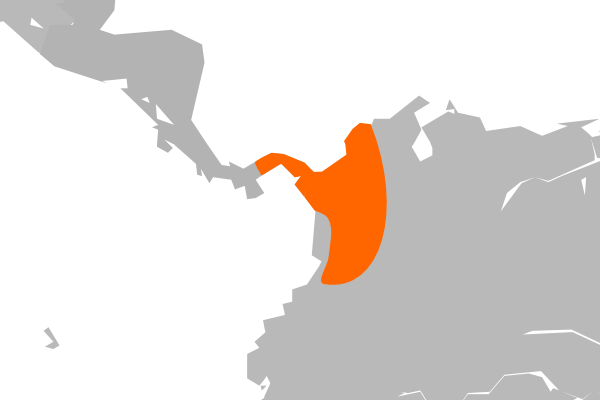 Rose cactus: ja:レウエンベルゲリア・ブレオ の分布図 File:Central America (orthographic projection).svg を改変