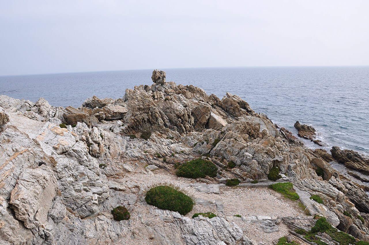 Limonium emarginatum: Hábitat de ( Limonium emarginatum ) en Ceuta, España.