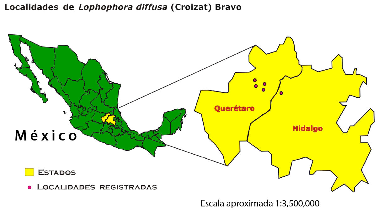 Peyote: Distribución regional de Lophophora diffusa. Querétero e Hidalgo.