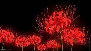 Red spider lily: la lycoris radiata es una gran representante de la temporada. Ésta es una de las flores más decorativas —y escalofriantes— del momento, pero, sobre todo, más si