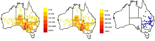 Harlequin mistletoe: Distribution of Lysiana exocarpi, L.exocarpi subsp. exocarpi and L. exocarpi subsp. tenuis