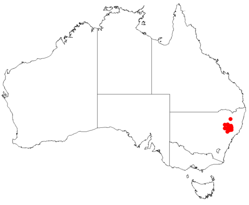 Nundle cycad: Macrozamia concinna occurrence data downloaded from Australasian Virtual Herbarium using https://doi.org/10.26197/5c23e4f3b2e43