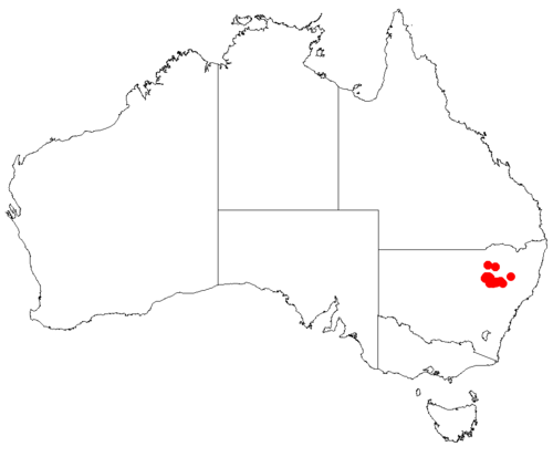 Macrozamia diplomera: Macrozamia diplomera occurrence data downloaded from Australasian Virtual Herbarium using https://doi.org/10.26197/5c23e4f3b2e43
