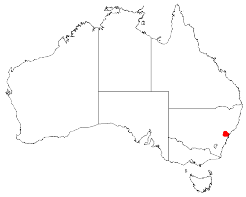 Cycad: Macrozamia elegans occurrence data downloaded from Australasian Virtual Herbarium using https://doi.org/10.26197/5c23e4f3b2e43