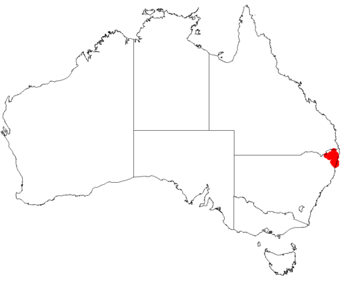 Macrozamia fawcettii: Macrozamia fawcettii occurrence data downloaded from Australasian Virtual Herbarium using https://doi.org/10.26197/5c23e4f3b2e43
