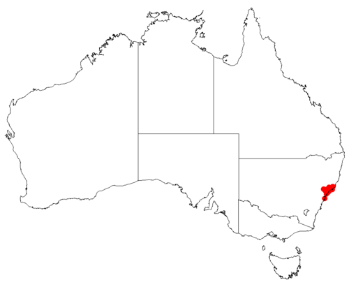 Cycad: Macrozamia flexuosa occurrence data downloaded from Australasian Virtual Herbarium using https://doi.org/10.26197/5c23e4f3b2e43