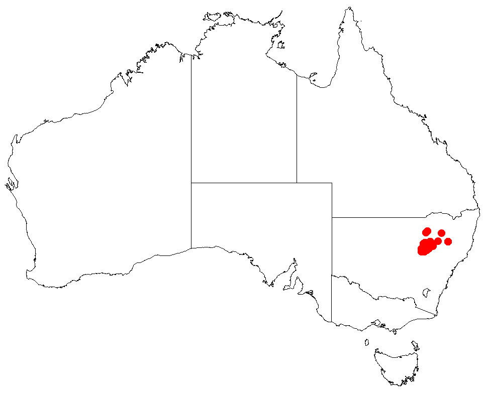Macrozamia heteromera: Macrozamia heteromera occurrence data downloaded from Australasian Virtual Herbarium using https://doi.org/10.26197/5c23e4f3b2e43
