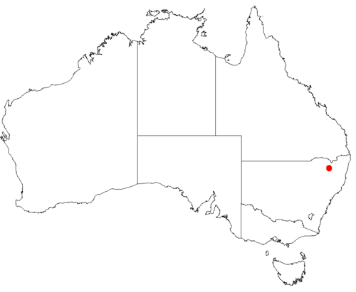 Macrozamia humilis: Macrozamia humilis occurrence data downloaded from Australasian Virtual Herbarium using https://doi.org/10.26197/5c23e4f3b2e43
