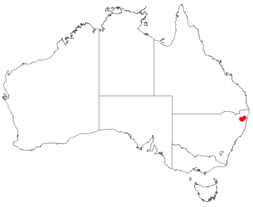 Macrozamia johnsonii: Macrozamia johnsonii occurrence data downloaded from Australasian Virtual Herbarium using https://doi.org/10.26197/5c23e4f3b2e43