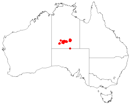 Macrozamia macdonnellii: Macrozamia macdonnellii occurrence data downloaded from Australasian Virtual Herbarium using https://doi.org/10.26197/5c23e4f3b2e43