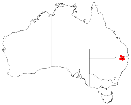 Cycad: Macrozamia plurinervia occurrence data downloaded from Australasian Virtual Herbarium using https://doi.org/10.26197/5c23e4f3b2e43