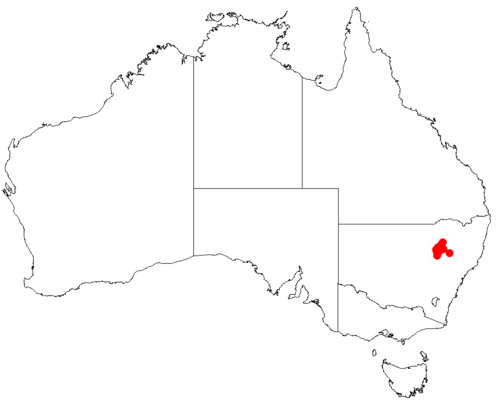 Macrozamia polymorpha: Macrozamia polymorpha occurrence data downloaded from Australasian Virtual Herbarium using https://doi.org/10.26197/5c23e4f3b2e43