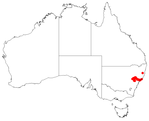 Macrozamia reducta: Macrozamia reducta occurrence data downloaded from Australasian Virtual Herbarium using https://doi.org/10.26197/5c23e4f3b2e43