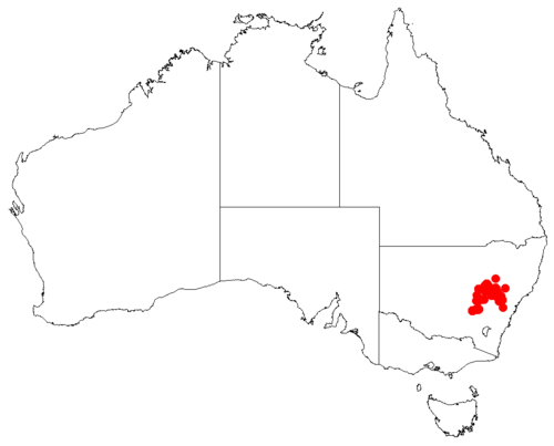 Cycad: Macrozamia secunda occurrence data downloaded from Australasian Virtual Herbarium using https://doi.org/10.26197/5c23e4f3b2e43