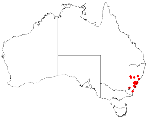 Cycad: Macrozamia spiralis occurrence data downloaded from Australasian Virtual Herbarium using https://doi.org/10.26197/5c23e4f3b2e43
