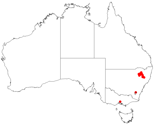 Macrozamia stenomera: Macrozamia stenomera occurrence data downloaded from Australasian Virtual Herbarium using https://doi.org/10.26197/5c23e4f3b2e43
