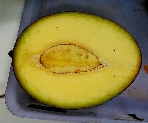 Bachang: Longitudinal cut of M. foetida fruit