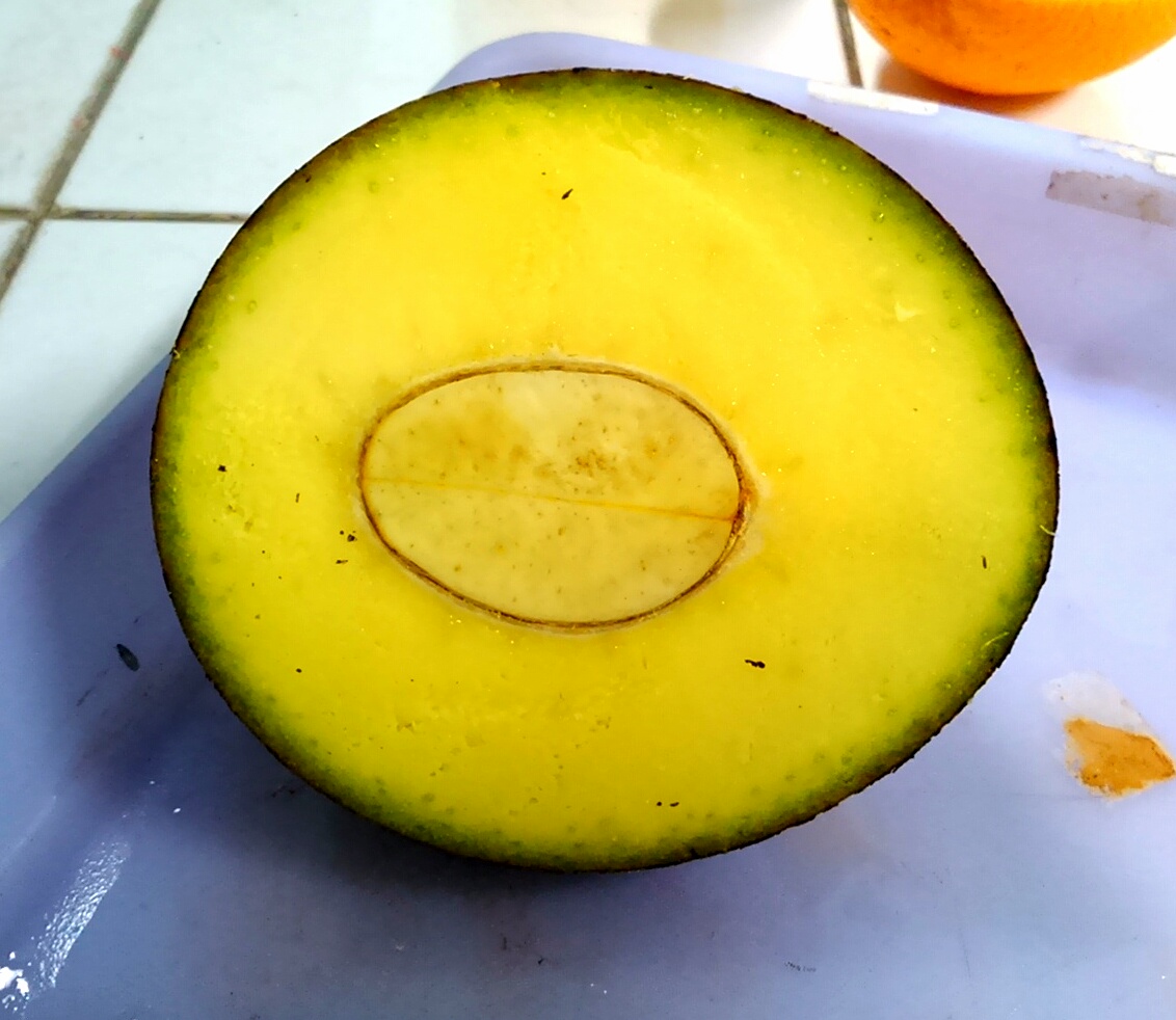 Bachang: Transversal cut of M. foetida fruit