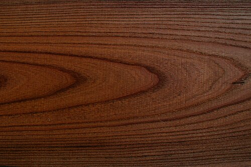 China-Berry: Timber of Melia azedarach L. cut from a tree cultivated in Johannesburg, South Africa