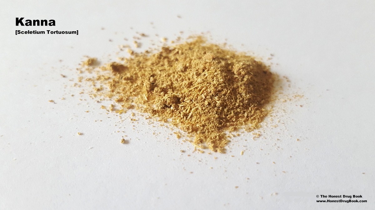 Mesembryanthemum tortuosum: Used traditionally as an entheogen and inebriant, Kanna (Sceletium Tortuosum) is commonly insufflated or consumed as tea, inducing a sedated intoxication.