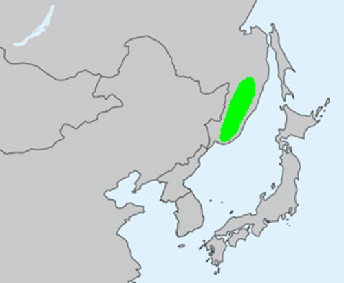 Siberian cypress: Microbiota decussata range