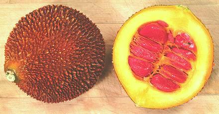 Gac melon: Exterior and cross-sectional interior of gac