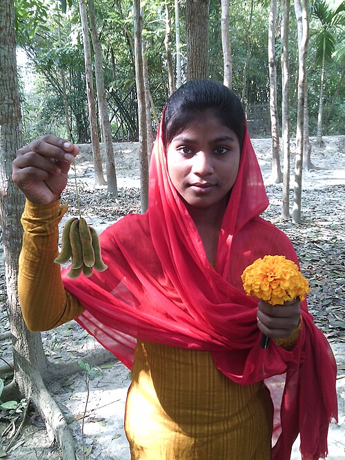 Cowitch: A Bangladeshi village girls retain some Mucuna pruriens fruits and a Marigold flower.