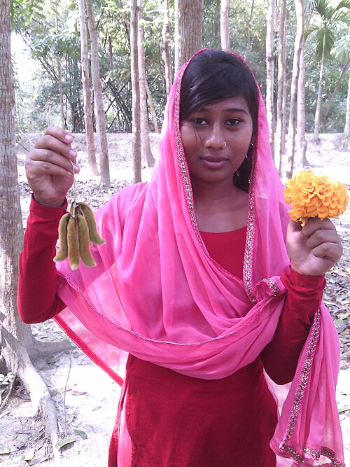 Cowitch: A Bangladeshi village girls retain some Mucuna pruriens fruits and a Marigold flower.