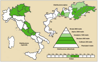 Orobanche flava: Orobanche flava - Distribuzione.png