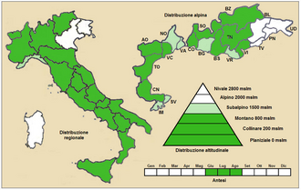 Yarrow broomrape: Orobanche purpurea - Distribuzione