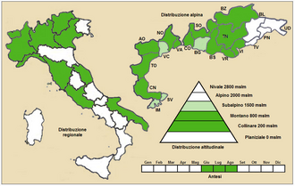 Orobanche teucrii: Orobanche teucrii - Distribuzione