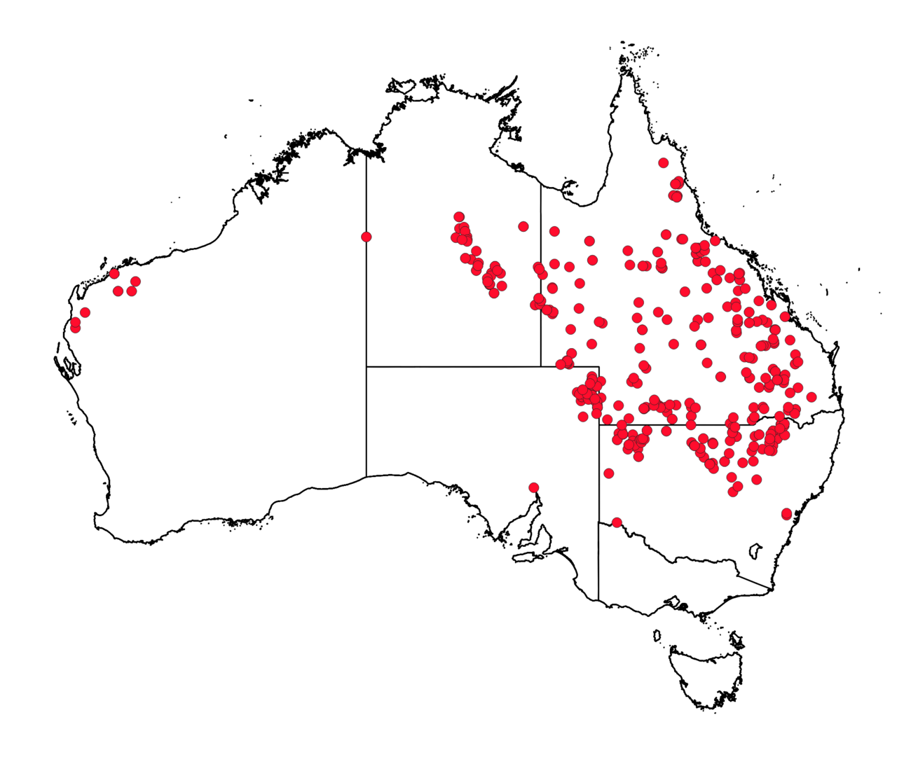 Owenia acidula: Owenia acidula distribution map from AVH records 29 May 2021
