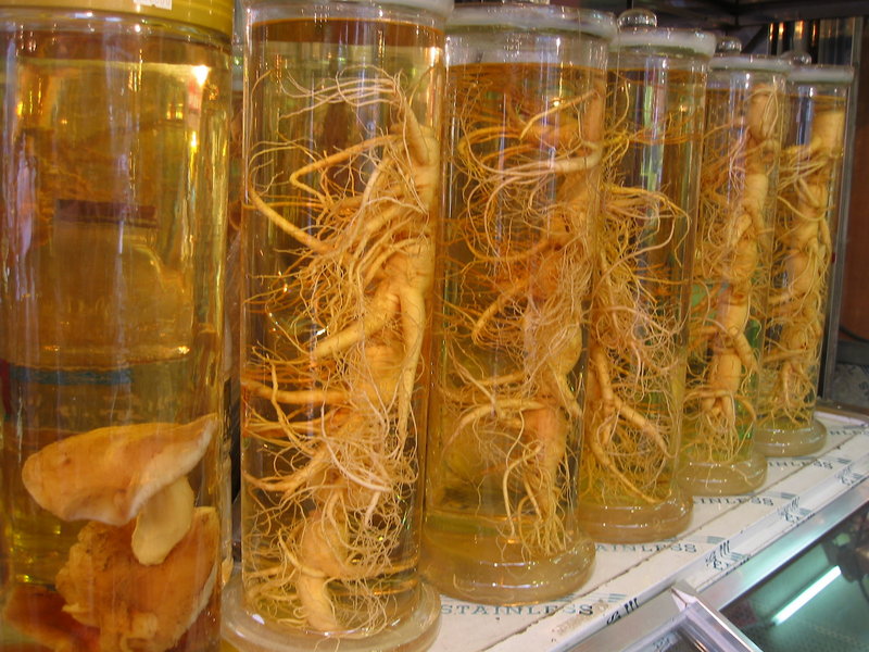 Chinese ginseng (Panax ginseng)