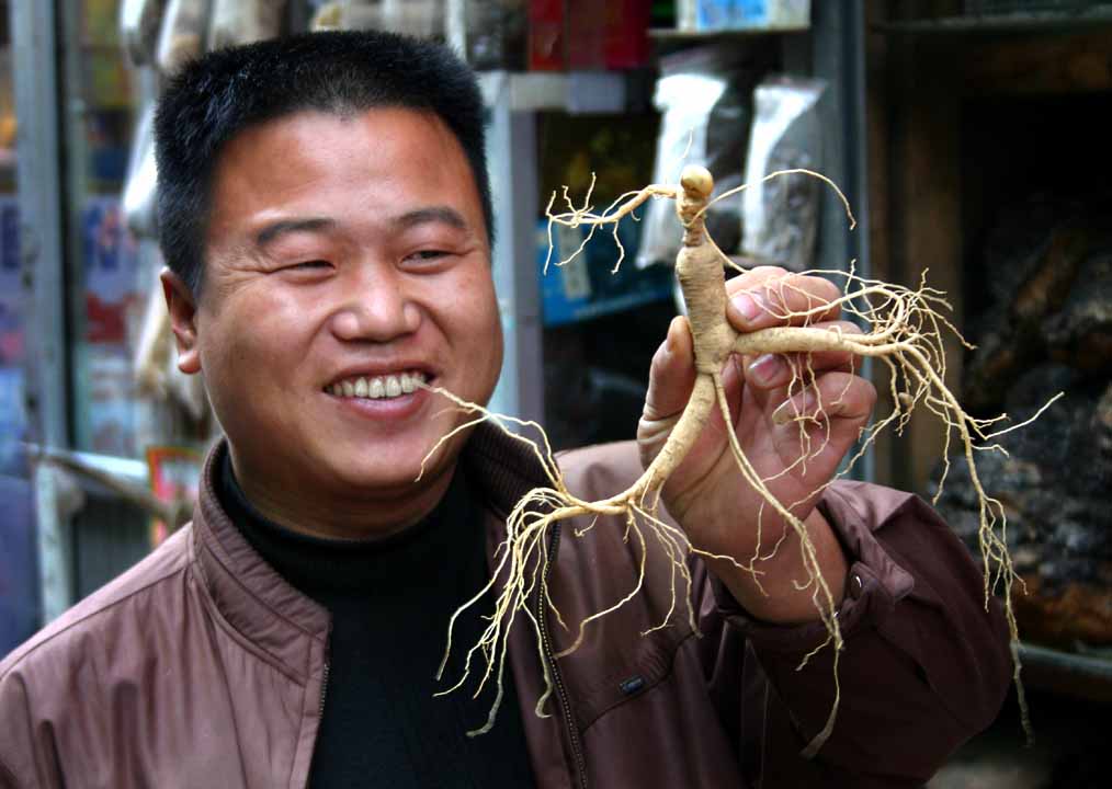 Chinese ginseng: China: Ginseng