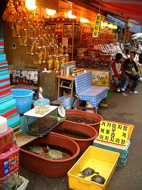 Chinese ginseng: A ginseng and wood ear shop in Namdaemun Market, Seoul. Live turtles are sold here as well.