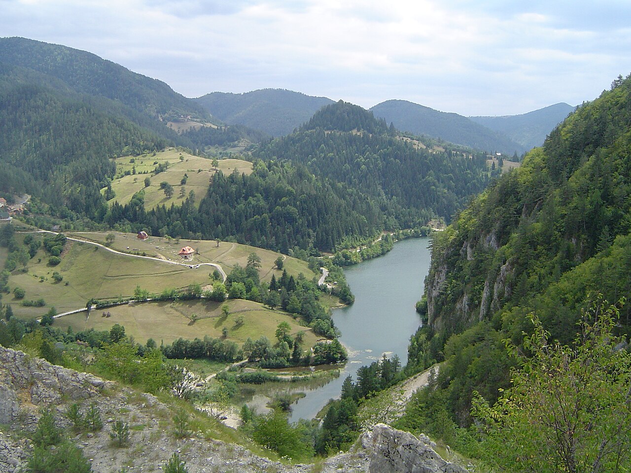Serbian spruce: Zaovine Lake, part where Picea omorika (Serbian Spruce) was discovered by the Serbian botanist Josif Pančić.