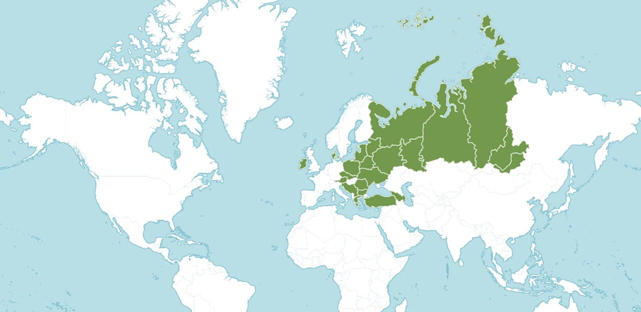 Pilosella onegensis: Ареал_распространения_distribution_map_Pilosella_onegensis_POWO
