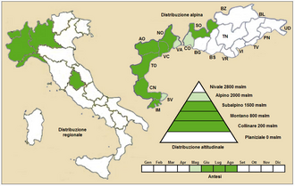 Pilosella peleteriana: Pilosella peleteriana - Distribuzione