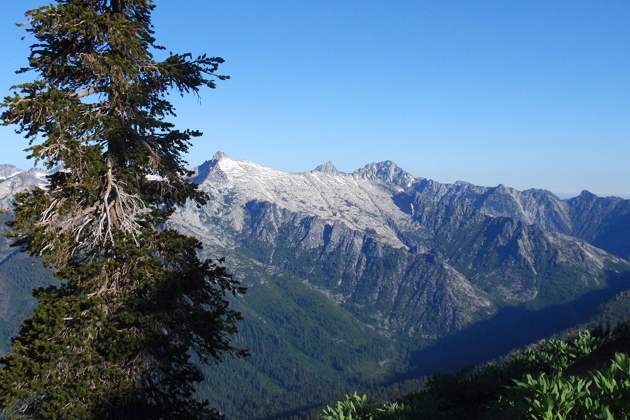 Foxtail pine: Trinity Alps Wilderness with Pinus balfouriana , Klamath Mountains, California.