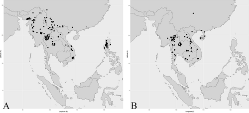 Benguet pine: Distribution of two Thai Pinus species (A) Pinus kesiya is distributed in India (Assam), Myanmar, China (Yunnan; Xizang), Vietnam, Laos, Cambodia, Thailand, and