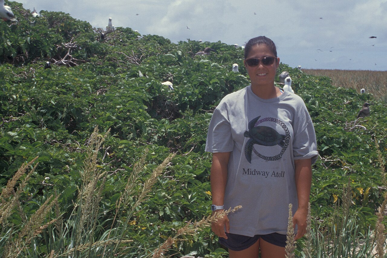 Grand devil's-claws: Pisonia grandis (with Kim and birds). Location: Lisianski, inland