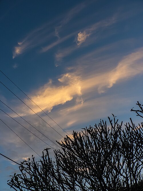 Templetree: Geebung has various excellent vantage points on its hills and dales from which to view cloudscapes and other meteorological phenomena .