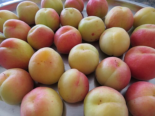 Apricot: Albaricoques de media estación.