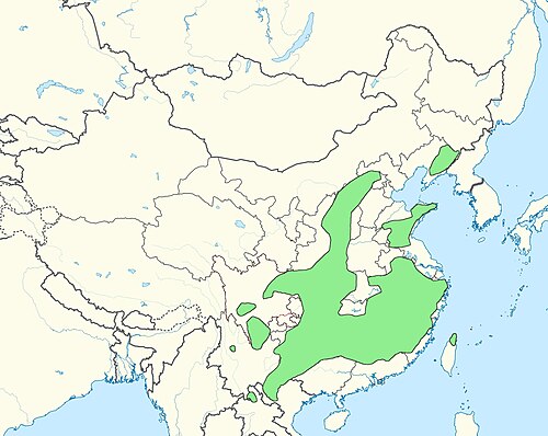 Chinese wingnut: Pterocarya stenoptera, range