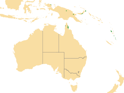 Pycnarrhena ozantha: Pycnarrhena ozantha distribution map