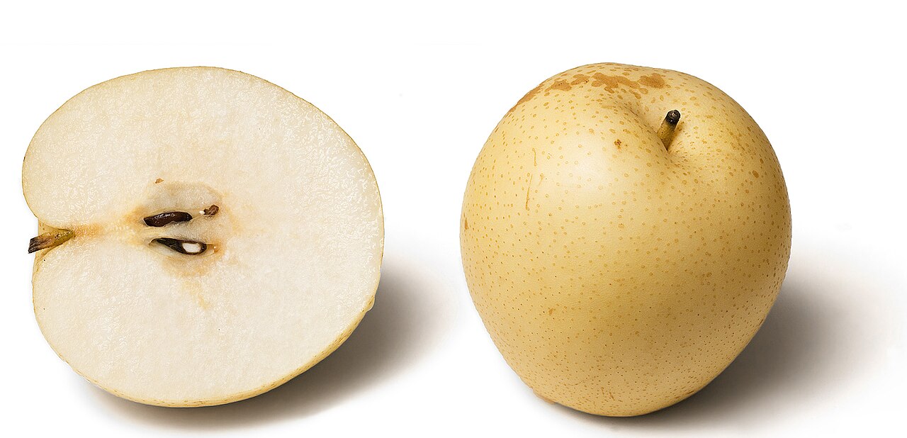 Chinese pear: Nashi pear