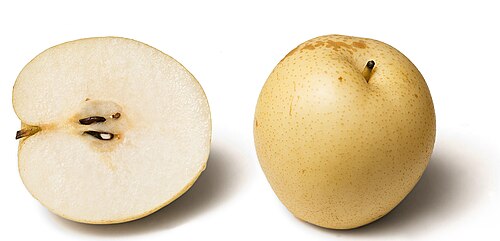 Chinese pear: Nashi pear