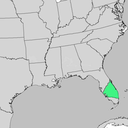Sandhill oak: Quercus inopina range map.