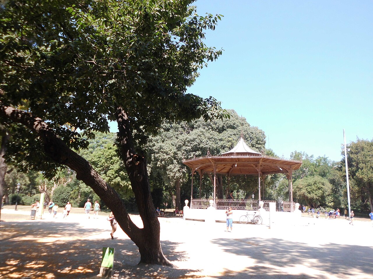 Netleaf white oak: This is a a photo of a protected or outstanding tree in Catalonia, Spain, with id: